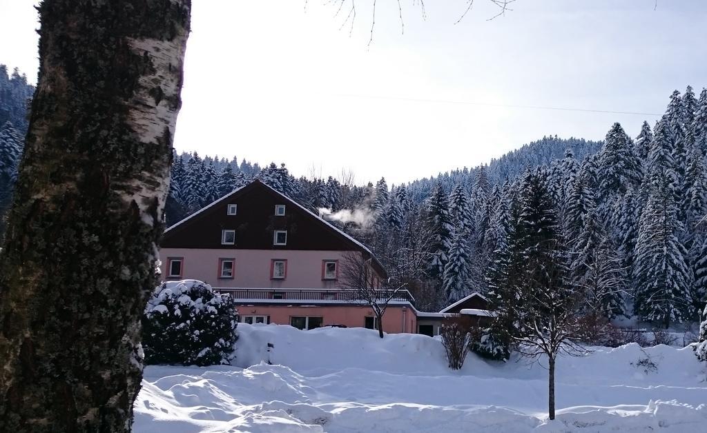 Domaine Du Des Bluches Hotel La Bresse