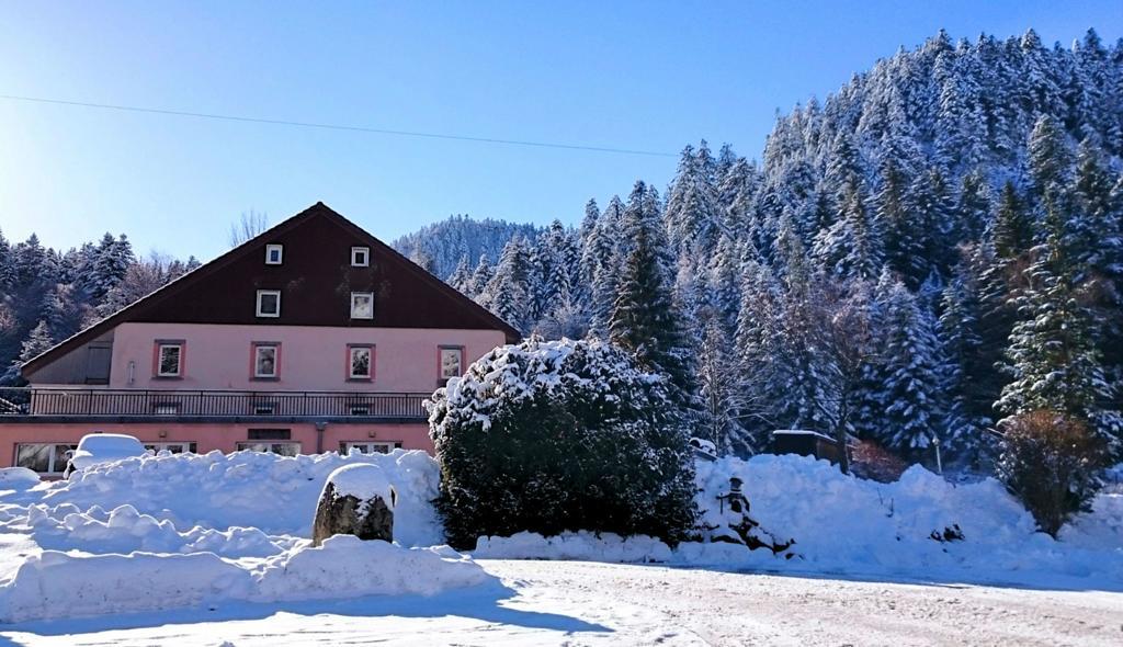 Domaine Du Des Bluches Hotel